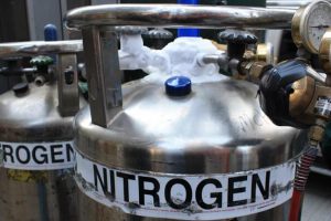 Importancia del nitrogeno en el cuerpo humano